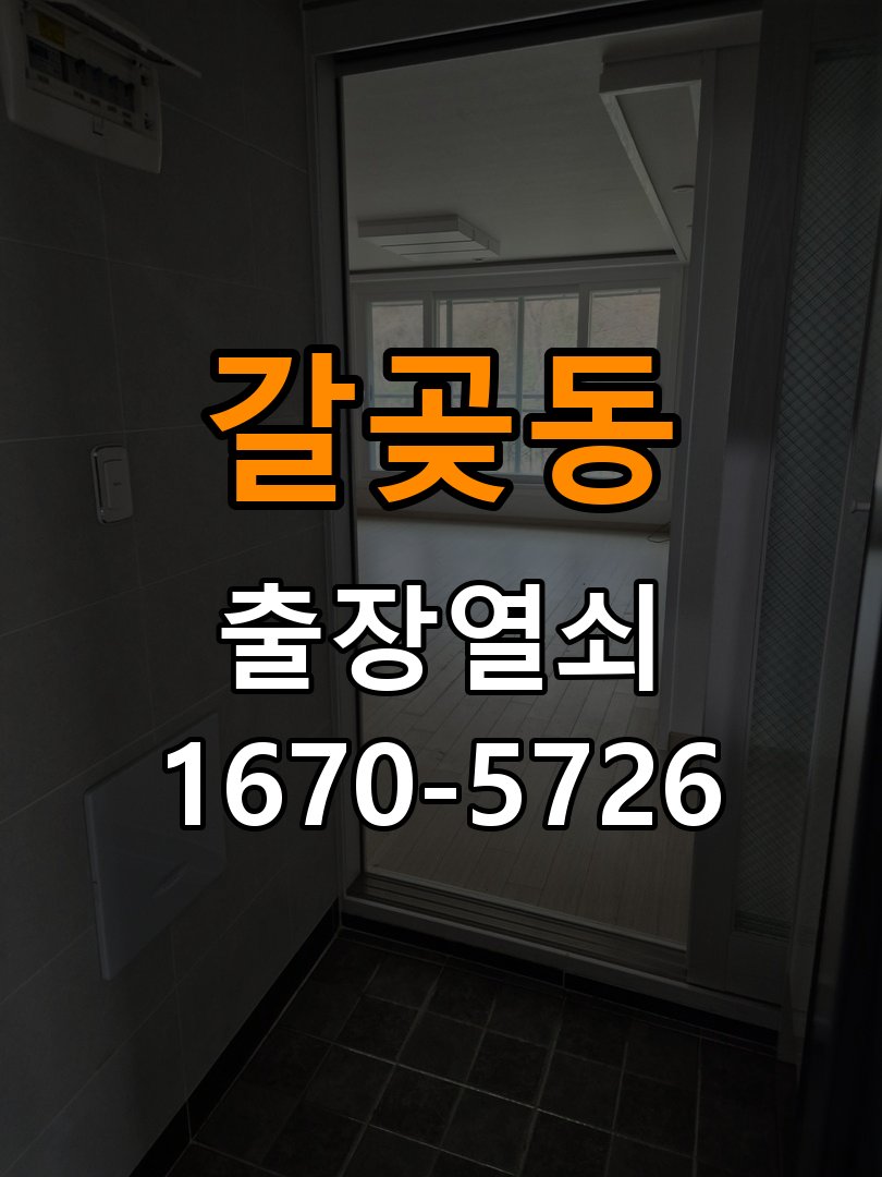 갈곶동 보조키 특수키 안전고리 추가 설치 특수 핀 실린더 보조키 및 빗장형 고급 안전고리 정밀 점검 및 교체