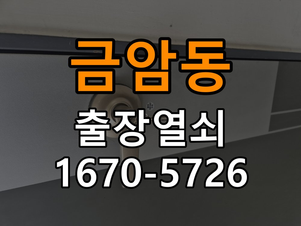 오산시 계단식 아파트 도어락 건전지 방향을 잘못 넣었을 때 점검 사항 - 수리와 교체 판단 기준 배터리 홀더와 단자 정밀 점검 및 교체