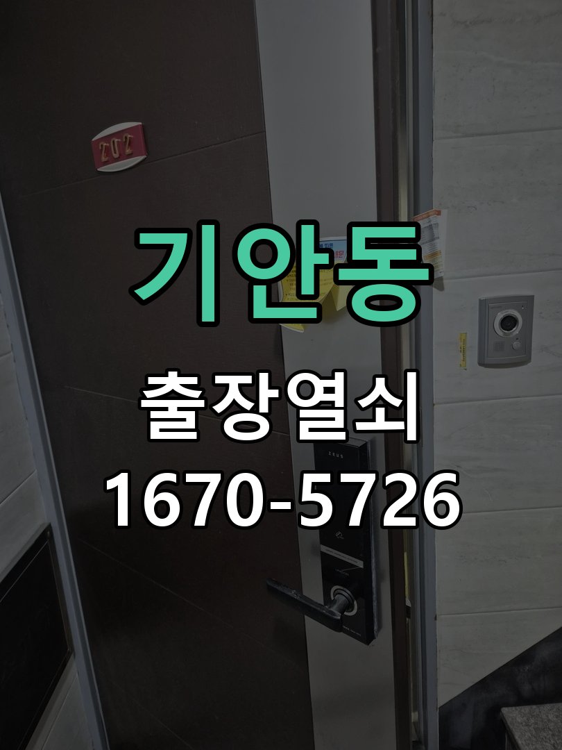 기안동 보조키 특수키 안전고리 추가 설치 도어락 외에 추가적인 이중 보안 잠금장치 필요 현장 출장