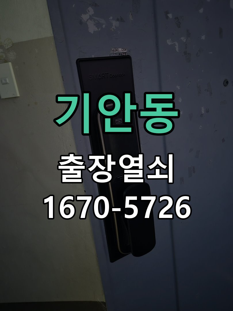 기안동 보조키 특수키 안전고리 추가 설치 특수 핀 실린더 보조키 및 빗장형 고급 안전고리 정밀 점검 및 교체