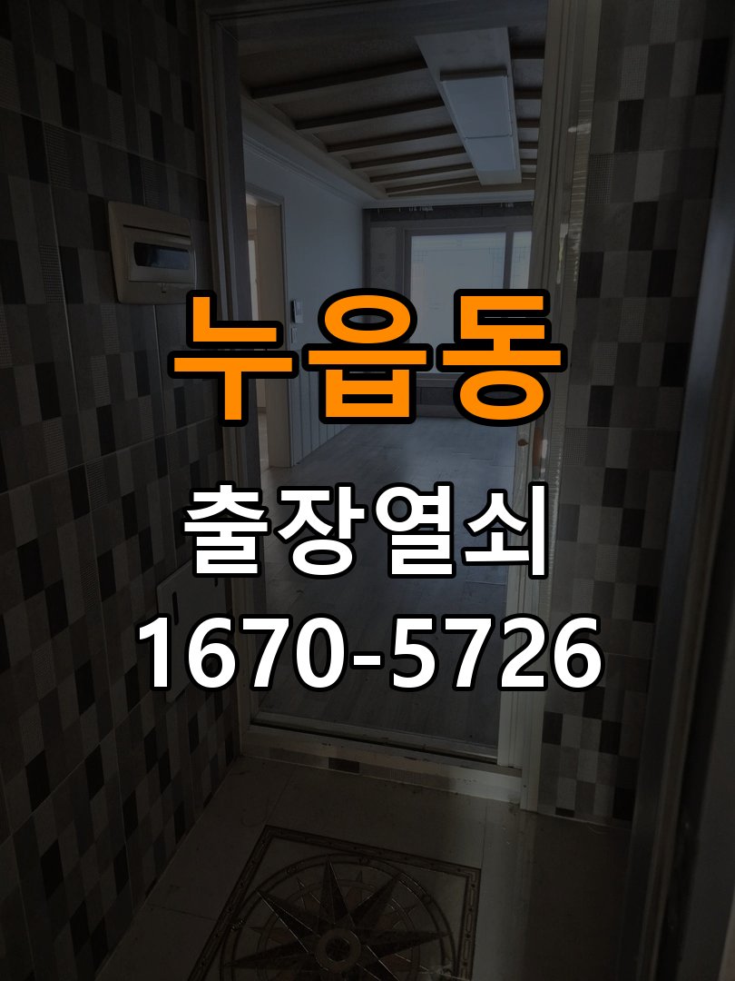누읍동 현관문 보조키 열쇠 분실 키통 교체 도어락 위의 특수 보조키 열쇠를 잃어버려 문을 열지 못함 현장 출장