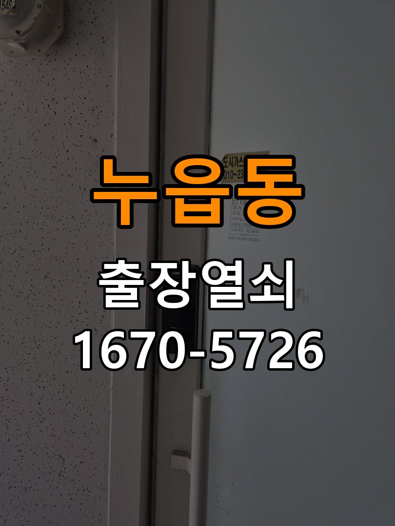 누읍동 현관문 보조키 열쇠 분실 키통 교체 특수 딤플키 실린더 보조키 교체 정밀 점검 및 교체