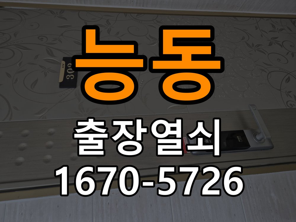 능동 보조키 특수키 안전고리 추가 설치 특수 핀 실린더 보조키 및 빗장형 고급 안전고리 정밀 점검 및 교체