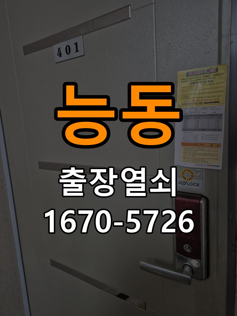 능동 보조키 특수키 안전고리 추가 설치 특수 핀 실린더 보조키 및 빗장형 고급 안전고리 정밀 점검 및 교체