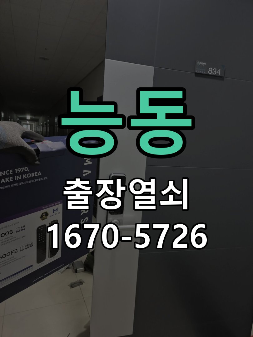 능동 현관문 보조키 열쇠 분실 키통 교체 도어락 위의 특수 보조키 열쇠를 잃어버려 문을 열지 못함 현장 출장