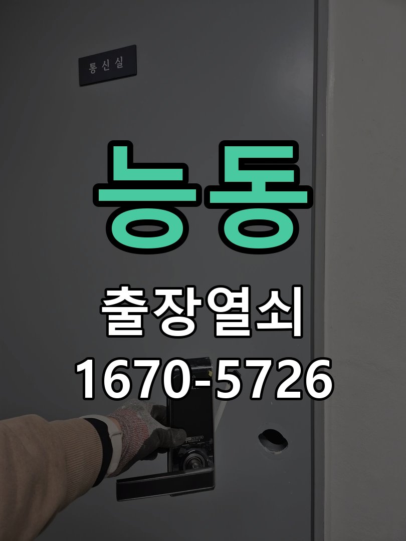 능동 현관문 보조키 열쇠 분실 키통 교체 특수 딤플키 실린더 보조키 교체 정밀 점검 및 교체