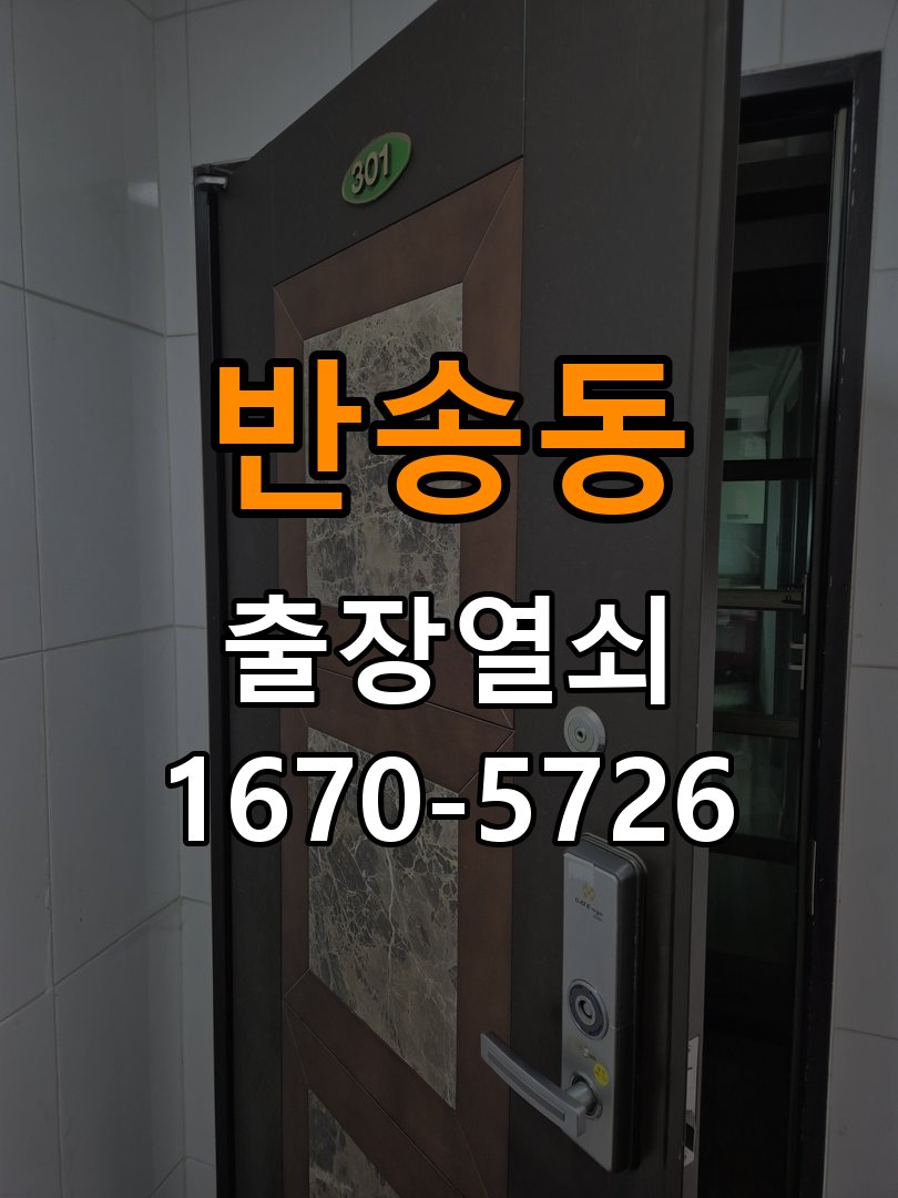 반송동 이사 후 현관 도어락 교체 및 비번 변경 작업 완료 후 정상 작동 확인