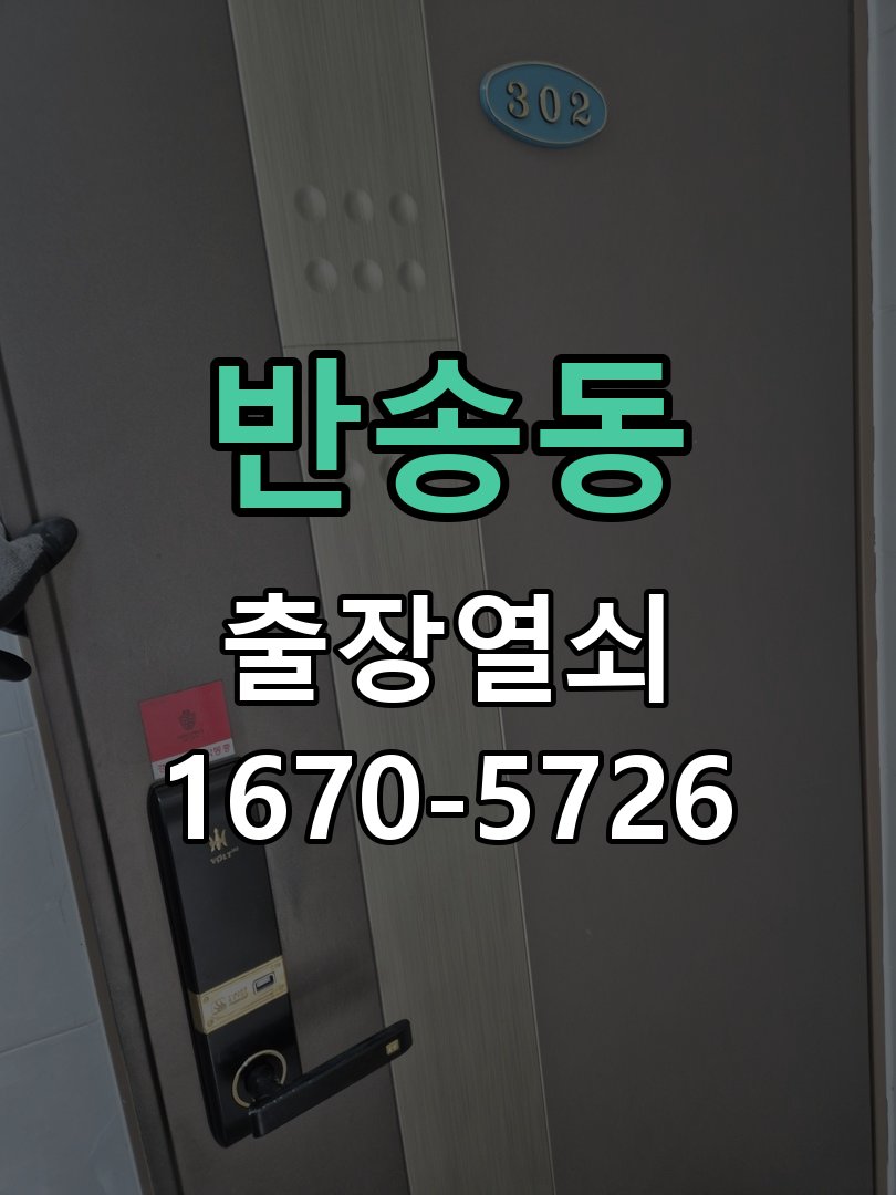 반송동 디지털 번호키 오류음 발생 원인과 해결 비밀번호를 바르게 눌러도 '삑삑삑' 삐비빅 실패음이 나며 안 열림 현장 출장