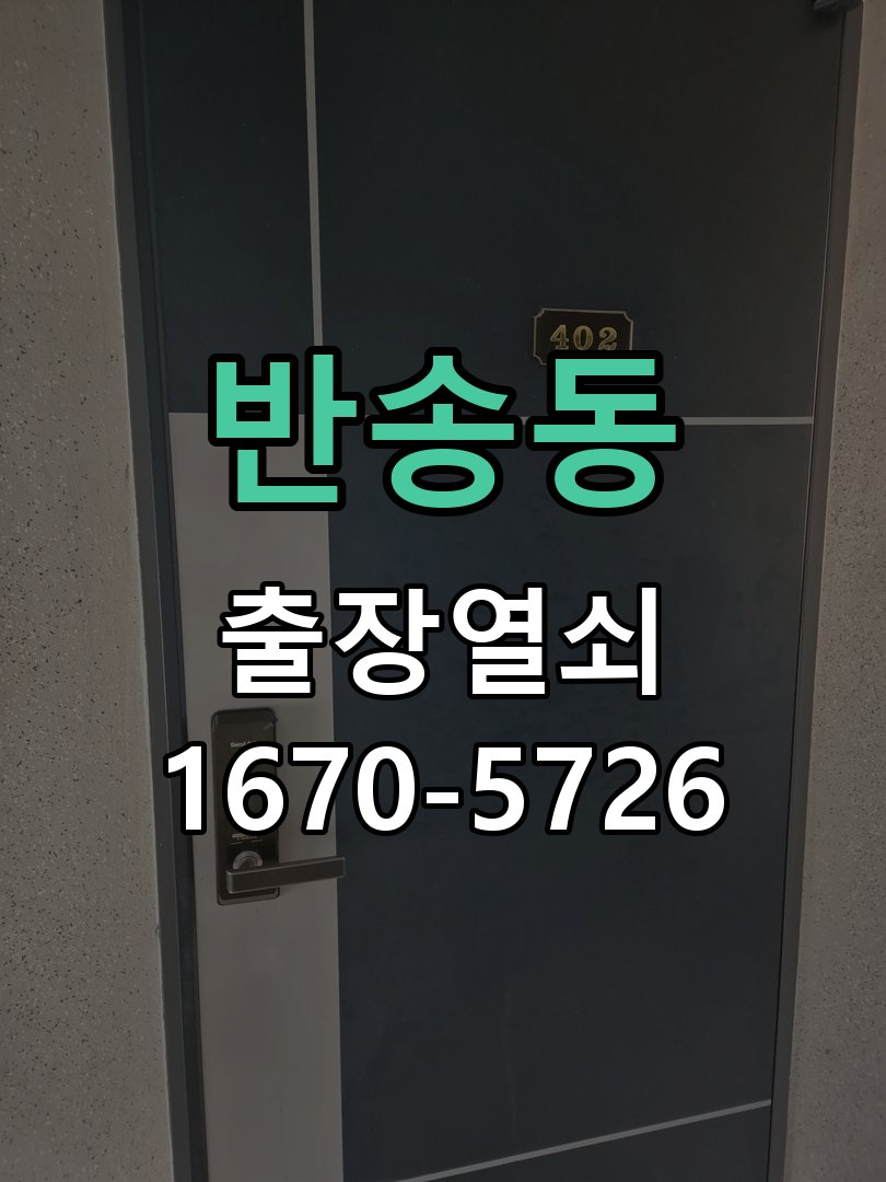 반송동 디지털 번호키 오류음 발생 원인과 해결 도어락 내부 구동 모터 및 모티스 연동부 정비 정밀 점검 및 교체