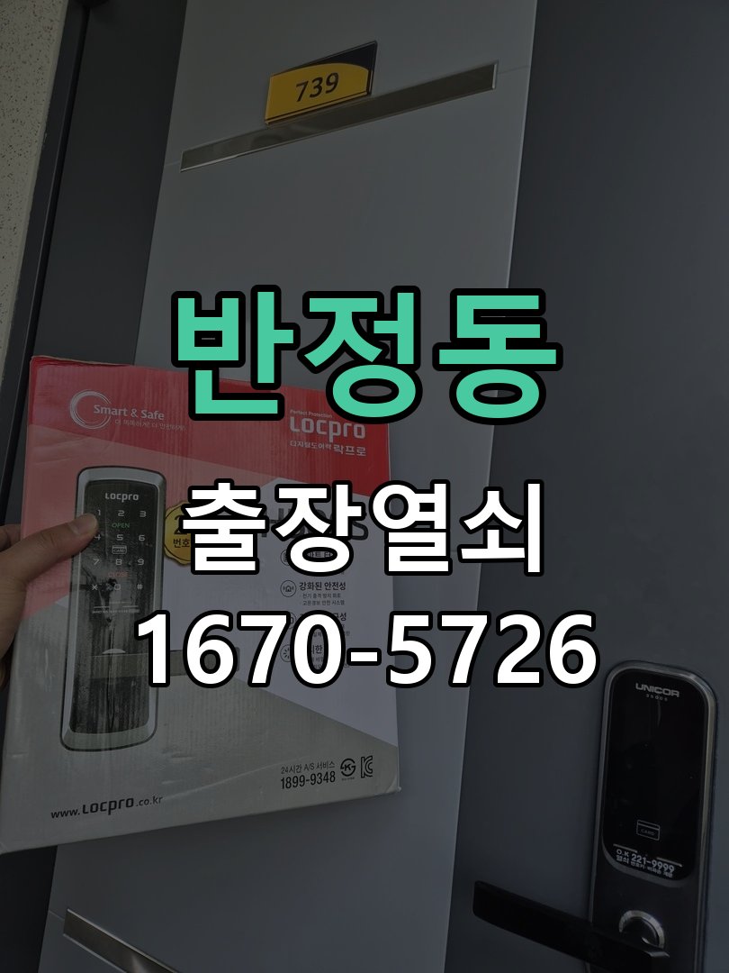 반정동 화장실문 안에서 잠김 손잡이 교체 출장 긴급 무손상 개문 및 안전 해제 기능 레버 핸들 교체 정밀 점검 및 교체