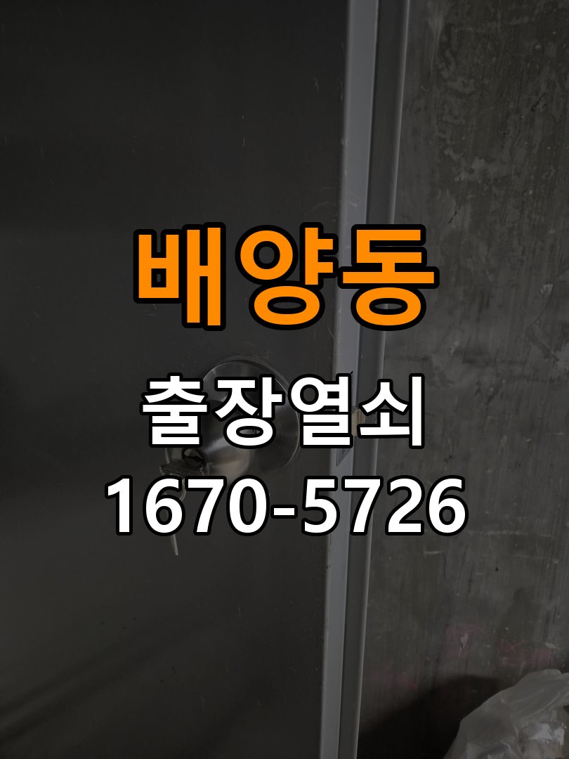 배양동도어락 출장 열쇠 24시 파손없이 열기 아파트 이사 후 교체 및 비번 변경 호환성 확인 참고 사진 1