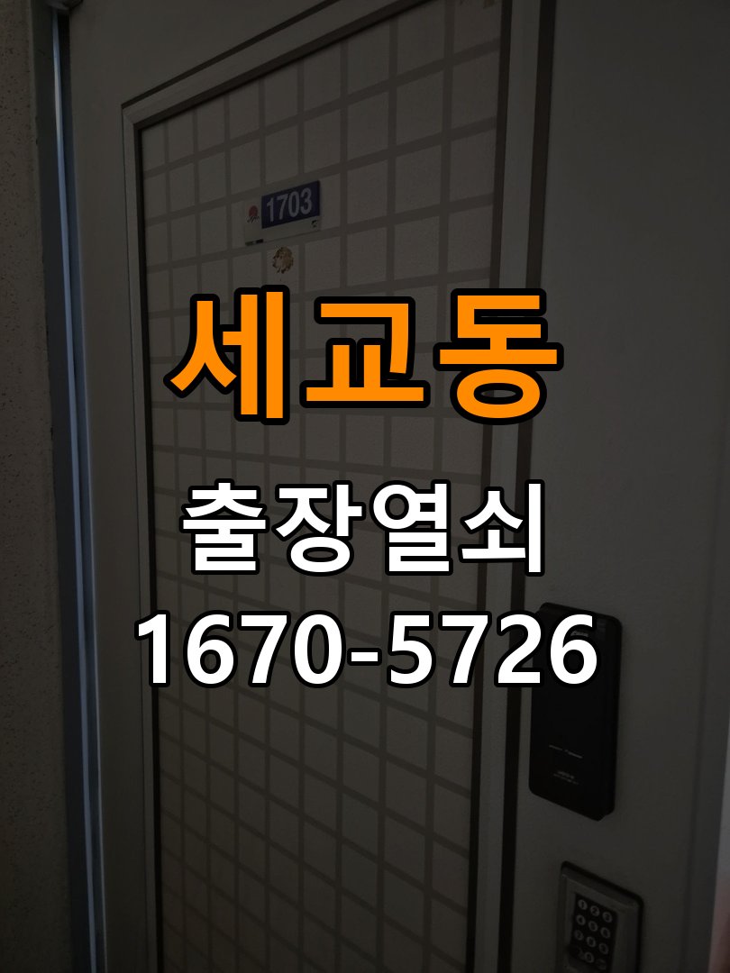 세교동 반지하 주택 도어락 비밀번호 분실 파손없이 개문 - 부품 교체 전 호환성 확인 파손 없는 무손상 디지털 도어락 개문 작업 정밀 점검 및 교체