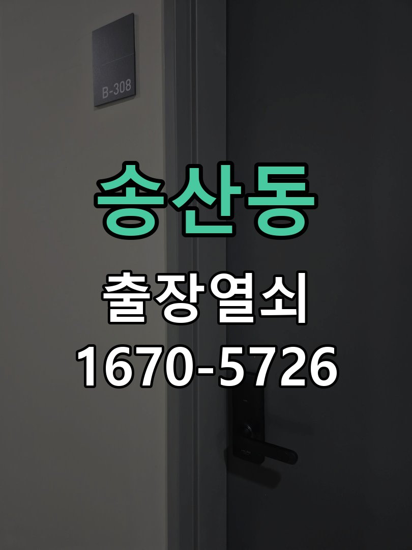 송산동 현관 번호키 먹통 방전 9V 해결 번호키 외부에 불이 전혀 켜지지 않고 소리도 나지 않는 증상 현장 출장