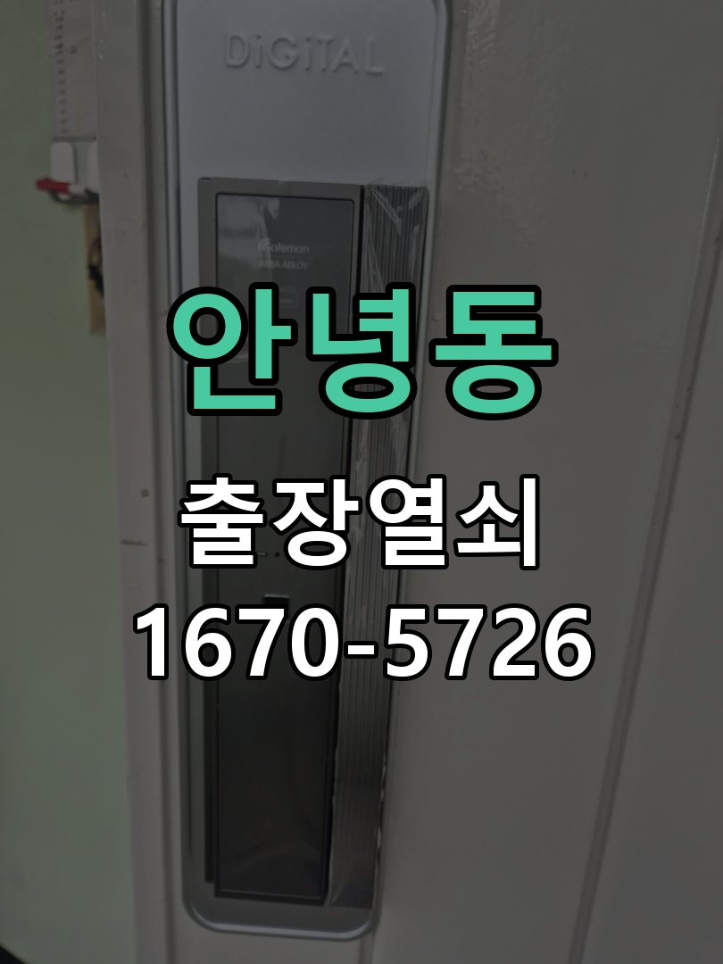안녕동 도어락 모티스 걸쇠 데드볼트 걸림 해결 잠금 모터 소리는 나지만 걸쇠가 끝까지 나오지 않아 문이 안 잠김 현장 출장