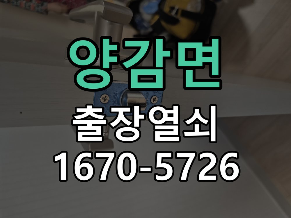 양감면 현관문 틈새 벌어짐 번호키 잠금 불량 수리 문틀 스트라이커 브래킷 위치 재조정 및 가스켓 정비 정밀 점검 및 교체