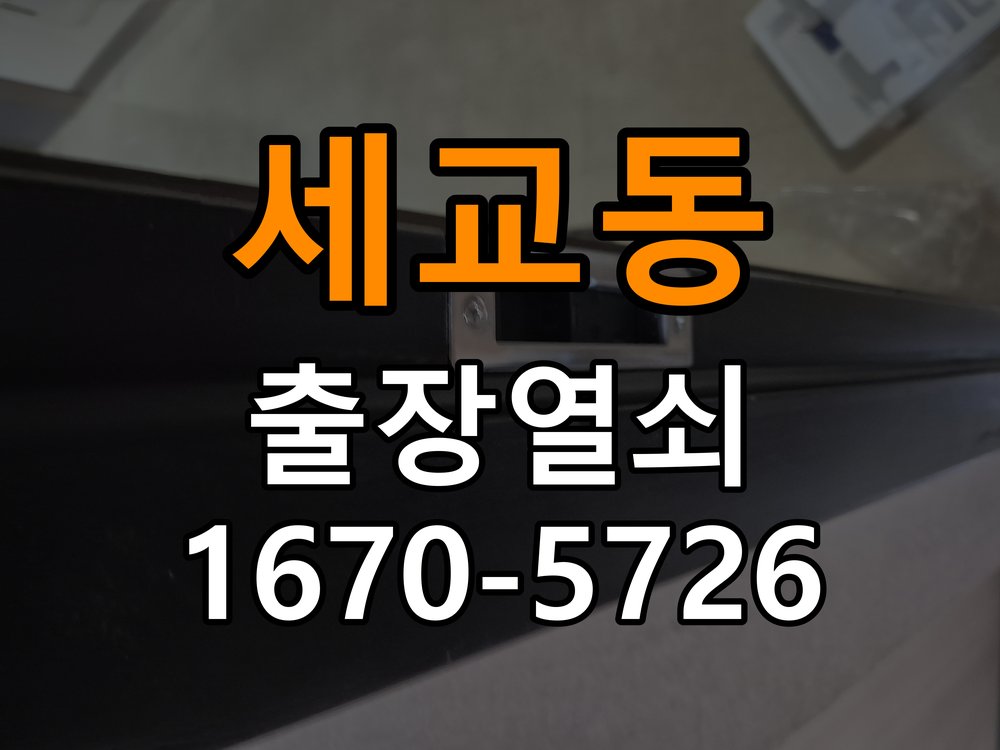 세교동 도어락 비밀번호 분실 파손없이 개문 비밀번호 변경 직후 기억나지 않아 출입이 차단된 상황 현장 출장