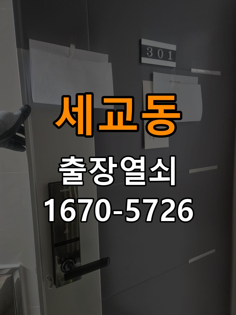 세교동 도어락 비밀번호 분실 파손없이 개문 파손 없는 무손상 디지털 도어락 개문 작업 정밀 점검 및 교체
