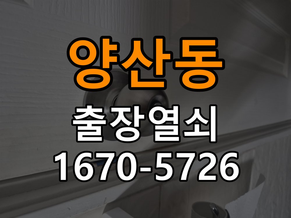양산동 외출 중 도어락 방전 편의점 9V 건전지 응급대처 비상 9V 사각 건전지 충전 지원 및 단자 정비 정밀 점검 및 교체