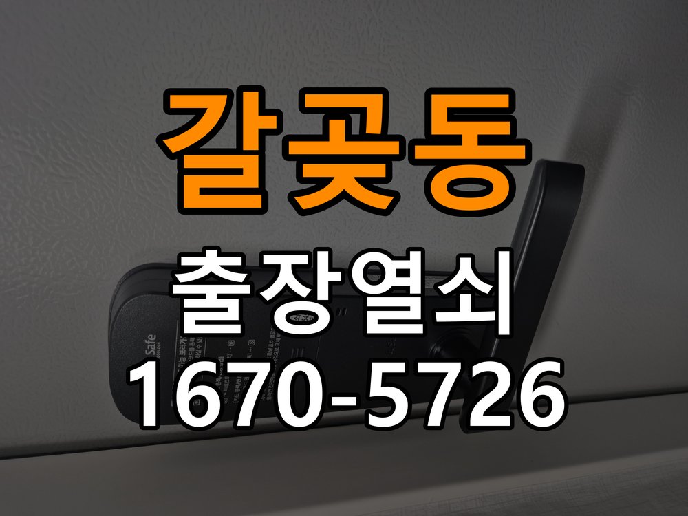 갈곶동 현관문 처짐 도어클로저 닫힘 속도 조절 K250 규격 유압식 방화문 도어체크 교체 정밀 점검 및 교체
