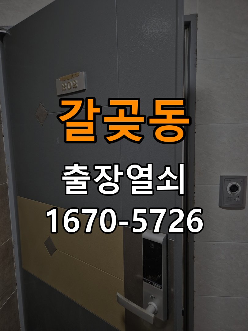 갈곶동 푸시풀 도어락 뻑뻑하고 걸릴때 수리 밀고 당길 때 과도한 힘이 들어가고 문이 부드럽게 열리지 않음 현장 출장