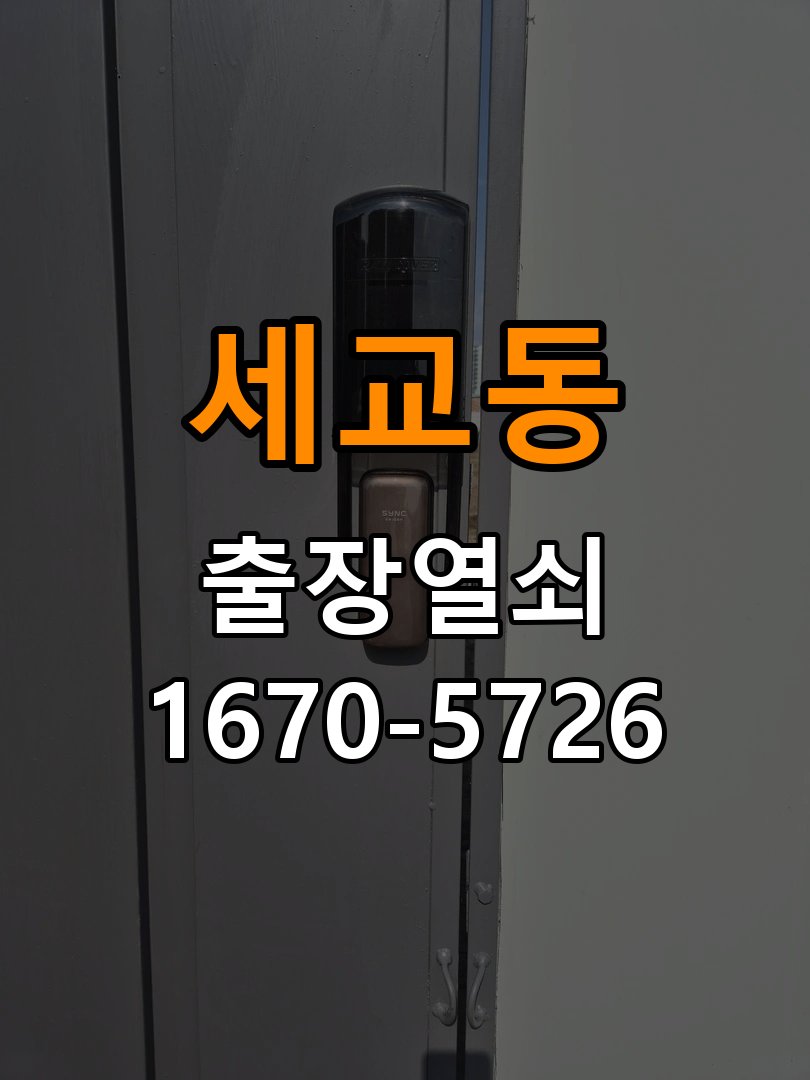 세교동 현관문 보조키 열쇠 분실 키통 교체 도어락 위의 특수 보조키 열쇠를 잃어버려 문을 열지 못함 현장 출장