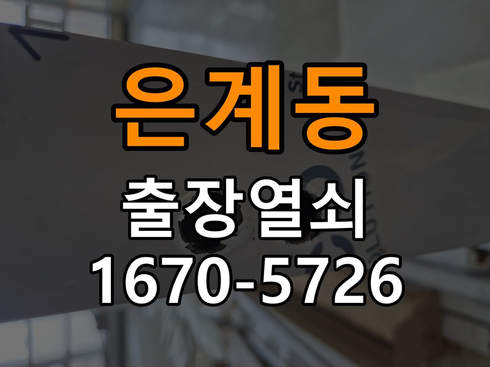 은계동 반지하 주택 도어락 소리 안남 무음모드 해제 방법 - 장기간 사용하지 않은 뒤 점검 반지하 주택 출입 공간에서 번호를 누르거나 문이 열릴 때 비프음 소리가 전혀 나지 않음. 이 글의 점검 목적: 장기간 미사용 상태의 전원과 마찰, 고정 상태를 확인 현장 출장