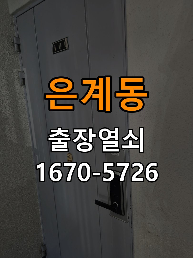 은계동 현관문 보조키 열쇠 분실 키통 교체 도어락 위의 특수 보조키 열쇠를 잃어버려 문을 열지 못함 현장 출장