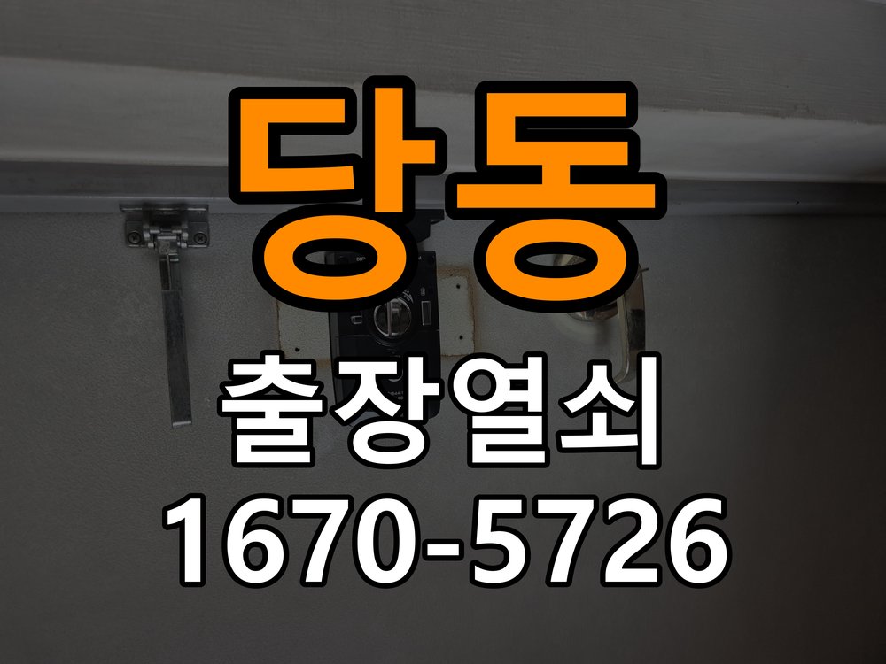 장당동 임대주택 열쇠를 돌릴 때 금속 가루가 나오는 증상 - 장기간 사용하지 않은 뒤 점검 임대주택 출입 공간에서 회전 시 금속 가루와 마찰 느낌이 발생함. 이 글의 점검 목적: 장기간 미사용 상태의 전원과 마찰, 고정 상태를 확인 현장 출장