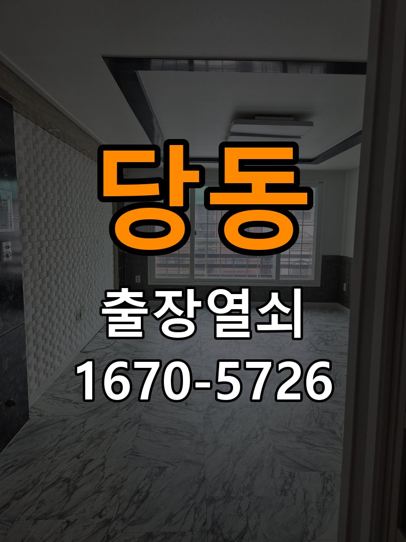 장당동 임대주택 열쇠를 돌릴 때 금속 가루가 나오는 증상 - 장기간 사용하지 않은 뒤 점검 실린더와 호환 열쇠 정밀 점검 및 교체