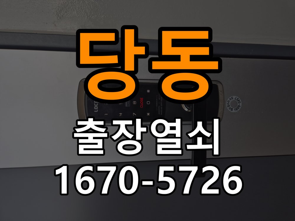 장당동 임대주택 열쇠를 돌릴 때 금속 가루가 나오는 증상 - 장기간 사용하지 않은 뒤 점검 작업 완료 후 정상 작동 확인