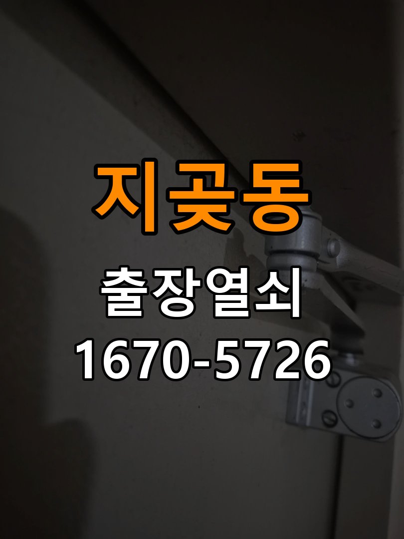 지곶동 열쇠 부러짐 키 실린더 교체 열쇠 구멍 안에서 키가 꺾여 부러진 채 박혀 문이 안 열림 현장 출장