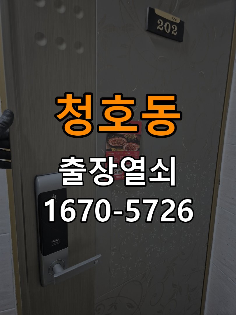 청호동 보조키 특수키 안전고리 추가 설치 특수 핀 실린더 보조키 및 빗장형 고급 안전고리 정밀 점검 및 교체