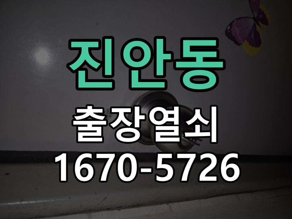 진안동 도어락 비밀번호 분실 파손없이 개문 비밀번호 변경 직후 기억나지 않아 출입이 차단된 상황 현장 출장